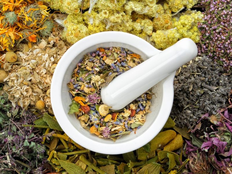Healing herbs and mortar of medicinal herbs - thyme, coneflower, marigold, daisies, helichrysum flowers, heather, mistletoe. Herbal medicine, top view.
